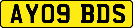 AY09BDS