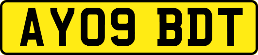 AY09BDT