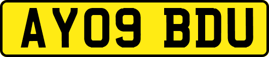 AY09BDU