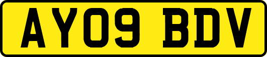 AY09BDV