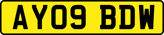 AY09BDW