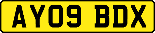 AY09BDX