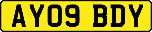 AY09BDY