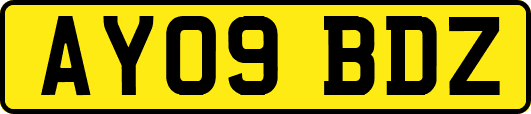 AY09BDZ