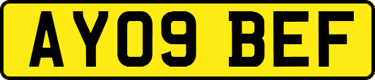 AY09BEF