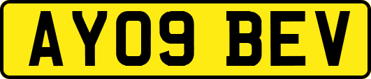 AY09BEV