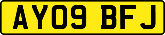 AY09BFJ
