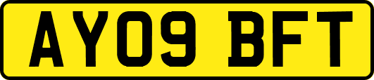 AY09BFT