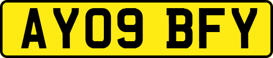 AY09BFY