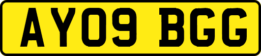 AY09BGG