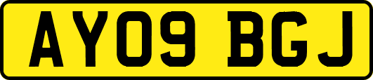 AY09BGJ