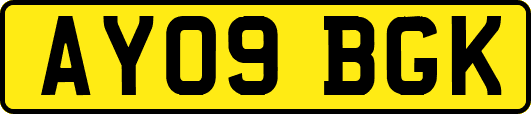 AY09BGK