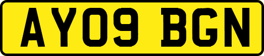 AY09BGN