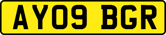 AY09BGR