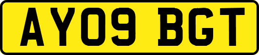 AY09BGT