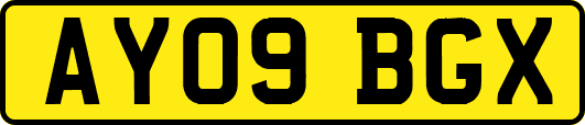 AY09BGX
