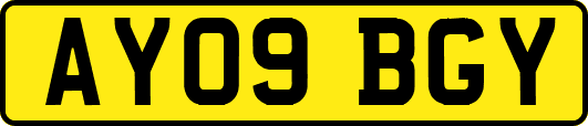 AY09BGY