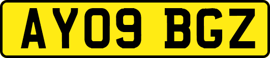 AY09BGZ