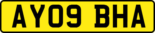 AY09BHA