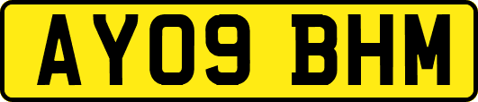AY09BHM