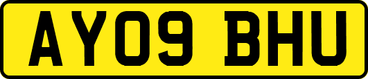 AY09BHU