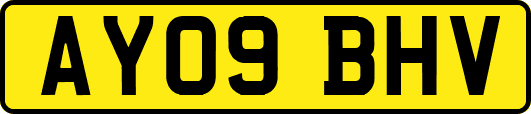 AY09BHV