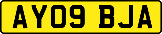 AY09BJA