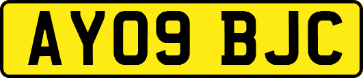 AY09BJC