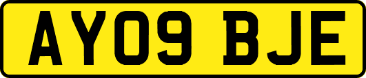 AY09BJE