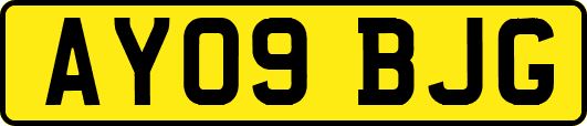 AY09BJG