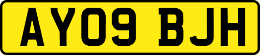 AY09BJH