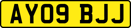 AY09BJJ