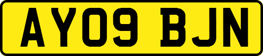 AY09BJN