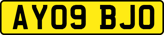 AY09BJO