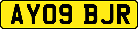 AY09BJR