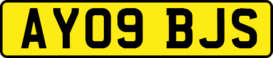 AY09BJS