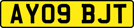 AY09BJT