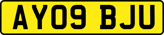 AY09BJU