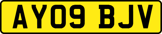 AY09BJV