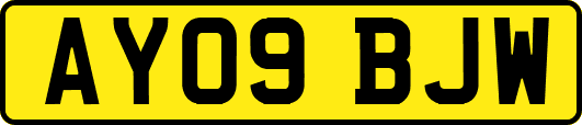 AY09BJW