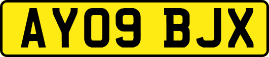 AY09BJX