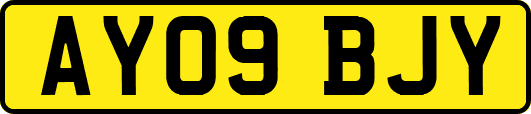 AY09BJY