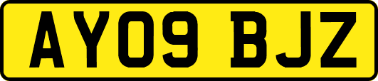 AY09BJZ