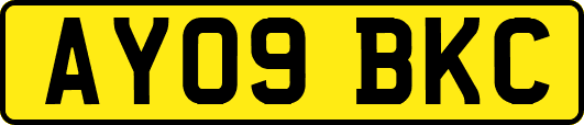 AY09BKC