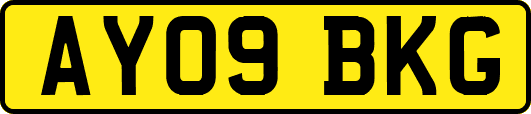AY09BKG