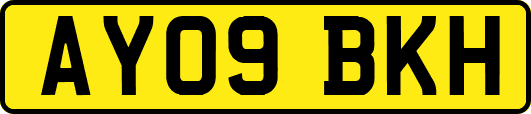 AY09BKH
