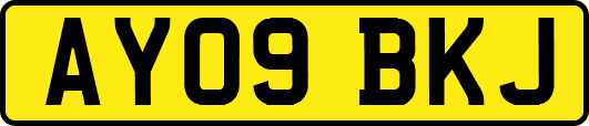 AY09BKJ