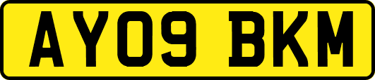AY09BKM