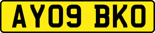 AY09BKO
