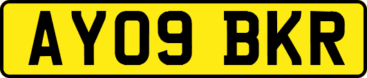 AY09BKR